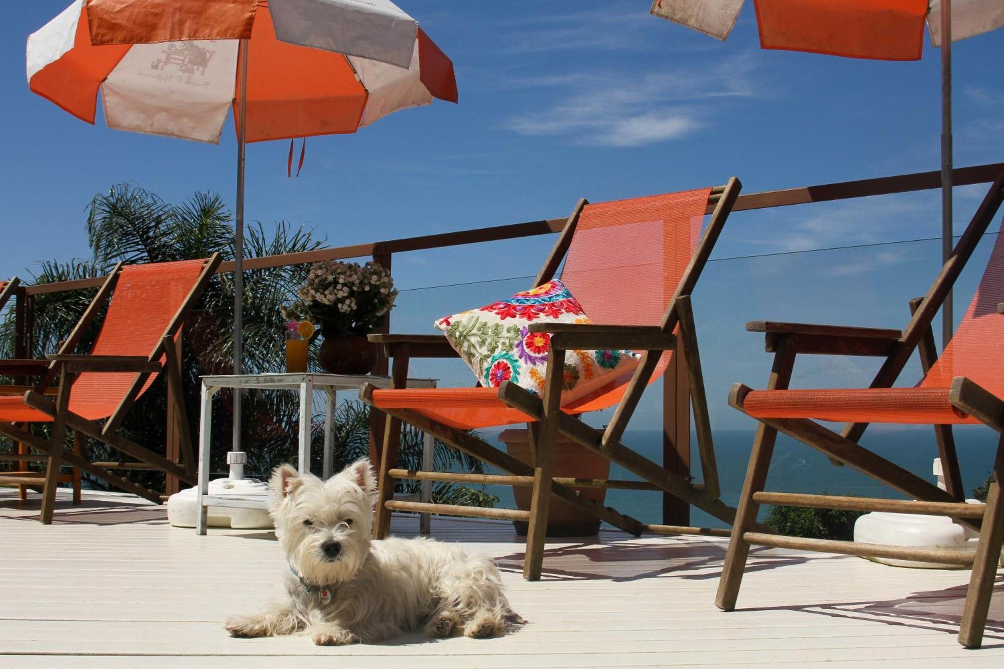 The Rosebud Inn 2*